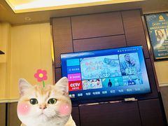 -宝岛养生尊享会所(宝龙店)