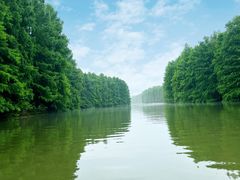 -上海海湾国家森林公园