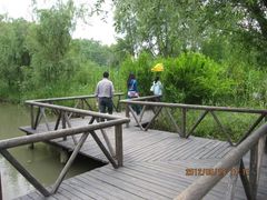 -溱湖国家湿地公园