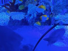 -左海海底世界