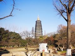 -红梅公园