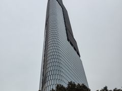-紫峰大厦
