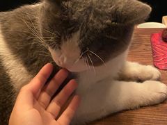 -后院儿·精酿·塔罗Happy Bar