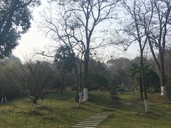 -习家池