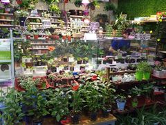 -山东嘉汇文化用品有限公司张店凤凰国际分公司(新村西路店)