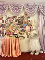 -WAVE SODA摄影工作室