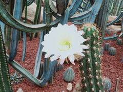 -南通洲际绿博园