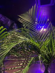 -格乐利雅婚礼艺术中心(南外滩店)