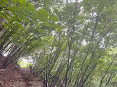 -北京密云天门山风景区