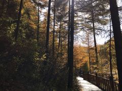 -苏木山森林公园