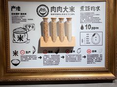 -肉肉大米(金虹桥店)