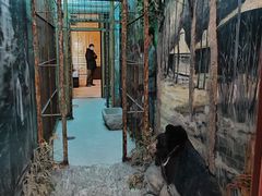 -北京动物园-畅观楼