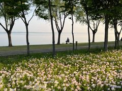 -阳澄湖半岛旅游度假区
