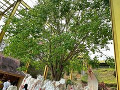 -西双版纳勐泐文化旅游区