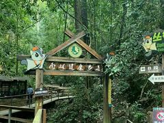 -西双版纳原始森林公园