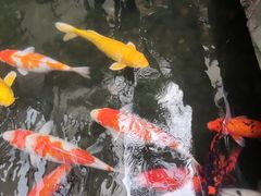 -百乐门喜宴(海珠广场华厦店)