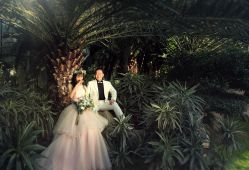 -保定巴黎婚纱摄影