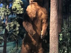 -陕西自然博物馆