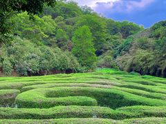 -大屏嶂森林公园