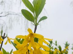 -黄兴公园