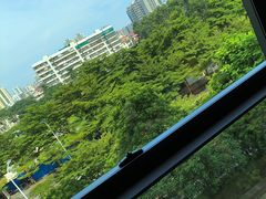 -湛江民大喜来登酒店-采悦轩中餐厅