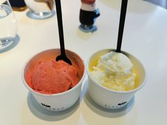 -BLACKSWAN黑天鹅(环球店)