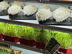 -番食园鲜食火锅(高新店)