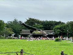 -广州长隆飞鸟乐园