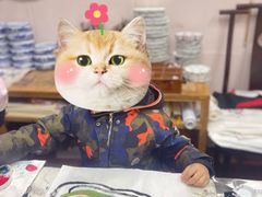 -秦汉胡同国学书院(川沙分馆)