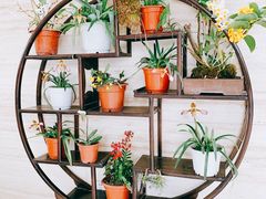 -南山植物园