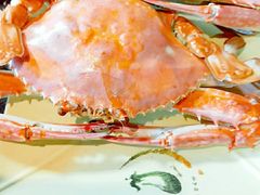 -大锅强·蒸海鲜青岛菜(吾悦广场店)