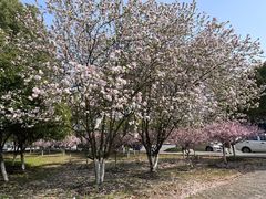 -江南大学(蠡湖校区)