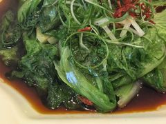 白灼罗马生菜-天顺渔港·海景餐厅(星海广场店)