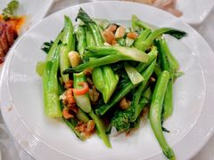 迟菜心-万年酒楼(越秀南路店)