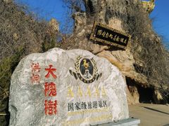-大槐树寻根祭祖园