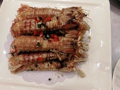 -宝燕壹号(徐汇店)