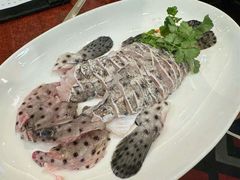 -顺轩海鲜火锅酒家