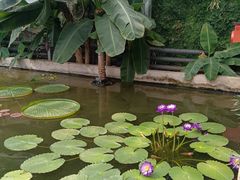 -国家植物园南园