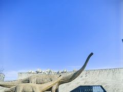 -安徽省地质博物馆