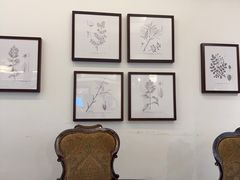 -1868 Café(上海自然博物馆店)
