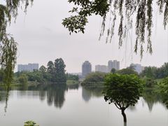 -眉山湿地公园(东坡区)