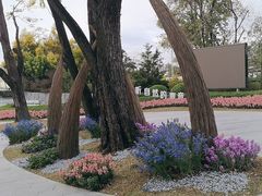 -云溪植物园