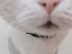 -共舞时光猫咖·狗咖(新街口店)