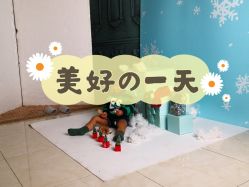 -花开映像儿童摄影