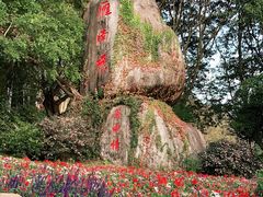 -雁南飞茶田景区