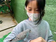 -史努比缤纷世界