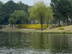 -美兰湖景区