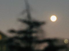 -必胜客(玉泉远洋店)