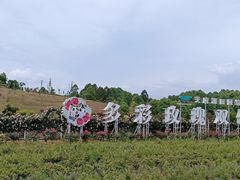 -都江堰玫瑰花溪谷