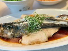 清蒸鲈鱼-大鸭梨烤鸭(石佛营店)